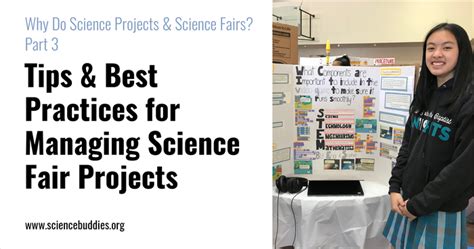 Science Fair Tips 的图像结果