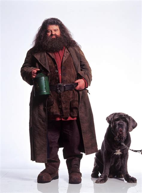 Hagrid and Fang (Harry Potter) | Rubeus hagrid, Harry potter movies ...