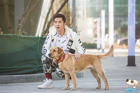 【图】神犬小七第二季的演戏过程 神犬协助他实现梦想(2)_内地剧_电视-超级明星