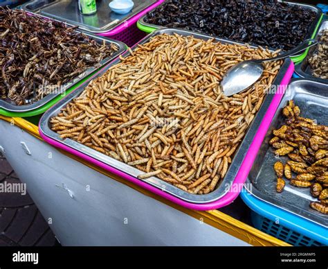 At a bustling street market in Bangkok, Thailand, you'll find delicious offerings of edible ...
