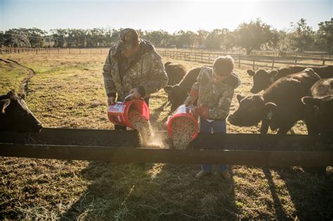 TRACTOR SUPPLY CO. - 602 W Presley Blvd, McComb MS - Hours, Directions, Reviews - Loc8NearMe