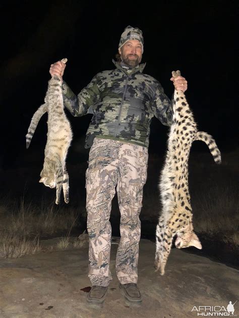 African Wild Cat Hunting