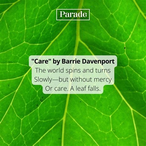 100 Best Celebration of Life Poems for Funerals or Memorials - Parade