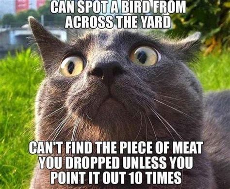 Image result for Bert Encoder/Decoder