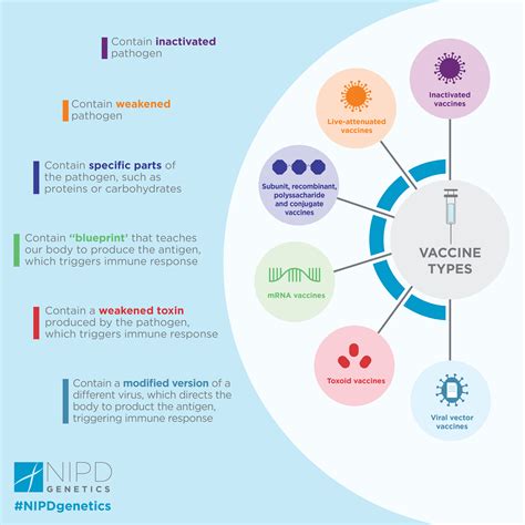 What Are The Levels Of Classification Of Vaccines at James Goldsbrough blog
