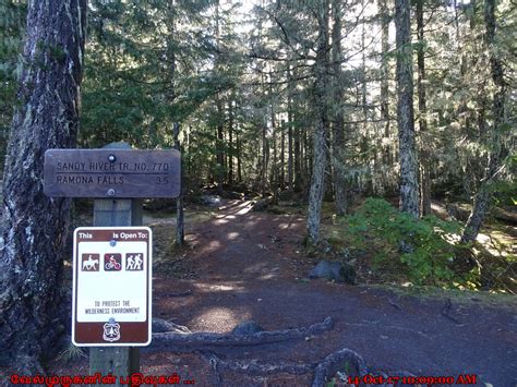 Ramona Falls Loop Hike Oregon - Exploring My Life