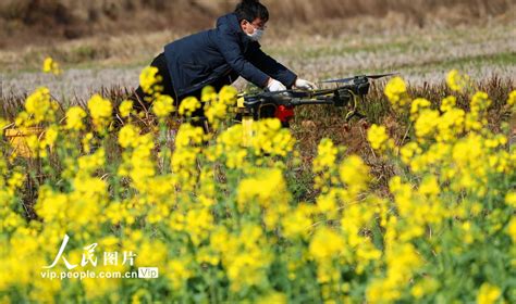 奏响春天的序曲——甘肃省春季农业生产和春耕备耕工作掠影_手机新浪网