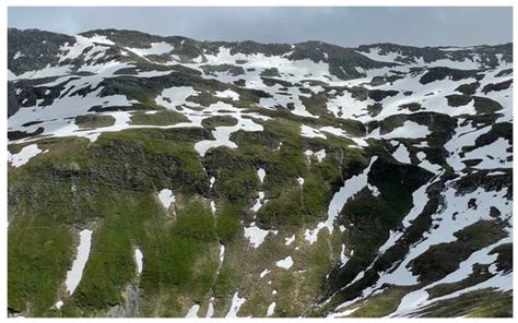 Plants | Special Issue : Arctic and Alpine Plants: Ecology, Adaptations ...