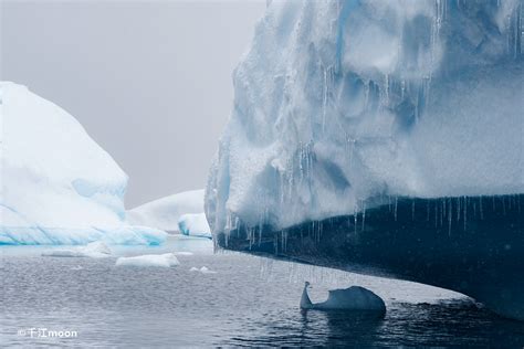 南极冰川下究竟隐藏着什么？是外星文明还是远古遗迹？_腾讯新闻