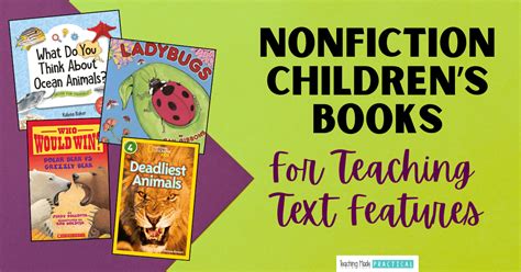 Teaching Text Features 的图像结果