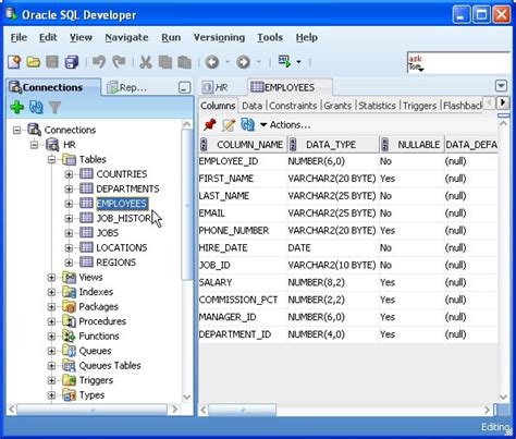 Insert Data to Database Using NetBeans 的图像结果