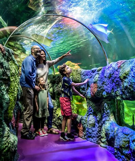 10 Exciting And Fun Things To Do At Concord Mills Mall | QuartzMountain