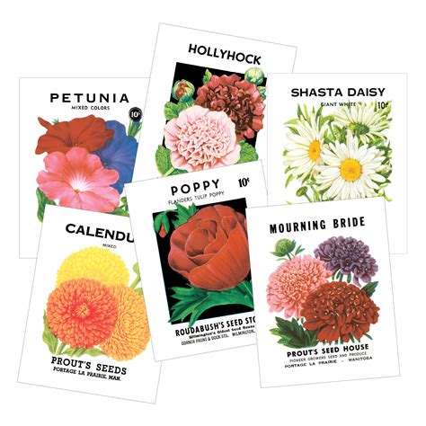 Flower Seed Packets