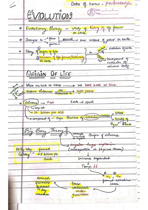 Image result for Class 12 Evolution