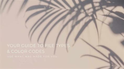 Image result for File Color Code