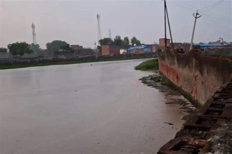 Environmentalist Raises Concerns Over Maria Frozen Slaughter House's ...