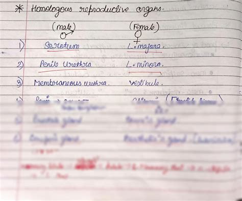 Image result for Female Reproductive System Class 12