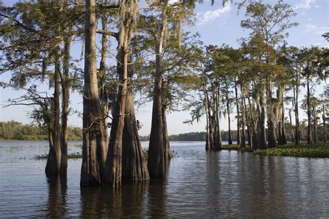Atchafalaya Basin Atchafalaya Basin Bridge – Veness Travel Media