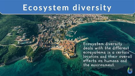 Ecosystem diversity - Definition and Examples - Biology Online Dictionary