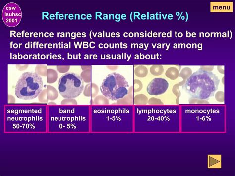 CBC Part 2 - WBC Differential & Morphology.pdf