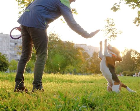 Compana Pet Brands | Pet Care Solutions