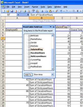Image result for SQL Server PivotTable Report