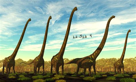 9 Dinosaurs With Long Necks - A-Z Animals
