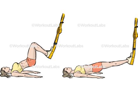 TRX Leg Curl 的图像结果