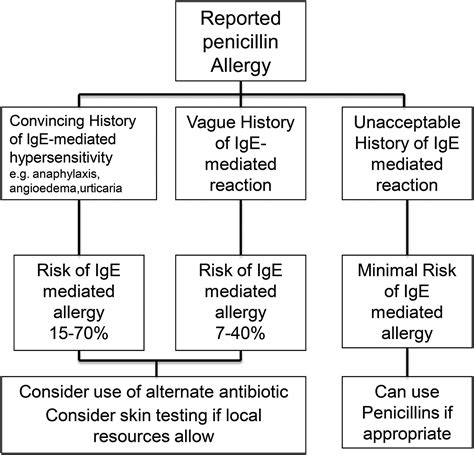 Oral Antibiotics For Penicillin Allergy at Victoria Melrose blog