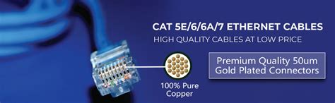 PremiumAV Cat-5 Ethernet Patch/LAN Cable (15M, Blue) : Amazon.in ...