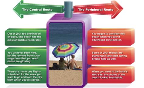 PSY 102 UCSB SPRING 2025 FINAL Flashcards | Quizlet