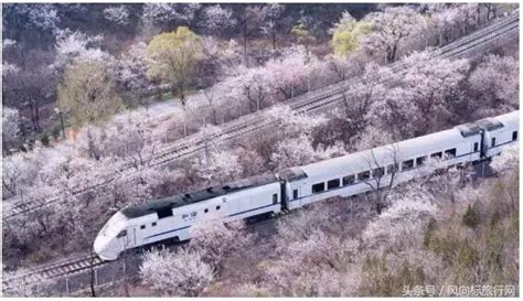 安全抵达！K396次列车第二批近500名旅客到达北京丰台站_乘客_地铁_区域