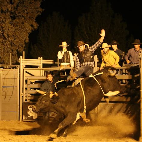 MOONSHINE WILLY'S (2026) All You Need to Know BEFORE You Go (with ...