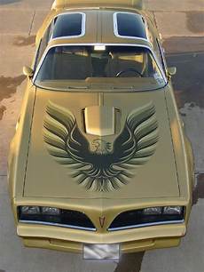 C Pontiac Drowning by 1978 Gold Special Edition Trans Am Cars Pontiac C Pontiac Drowning