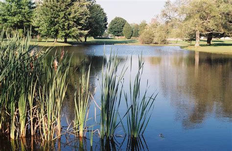 Gallery | Hickory Hill