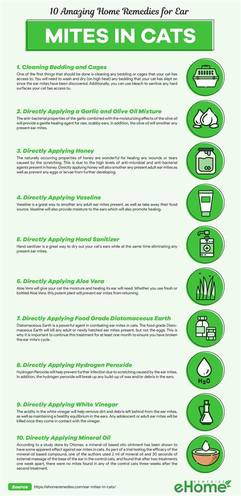 12 Amazing Home Remedies for Ear Mites in Cats Infographic