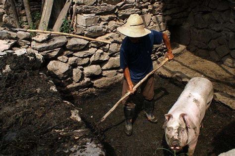 农家肥 的图像结果