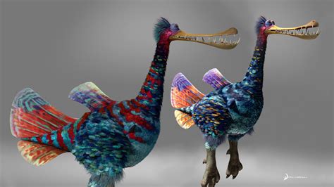 Sandy Tie Dong » The Croods