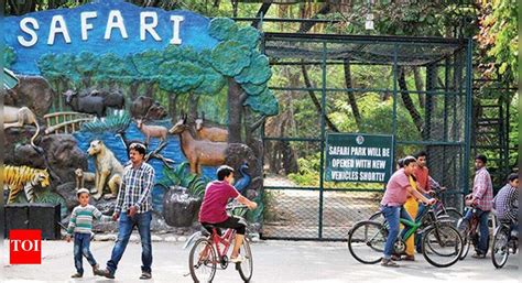 Squirrel monkey stoned to death? Zoo files no plaint | Hyderabad News ...