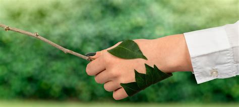 Environmentalist Purpose Example 的图像结果