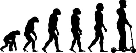 Evolution of Man Vector 的图像结果