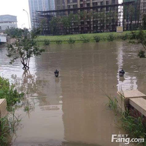 暴雨不可怕，就怕暴雨淹了房子啊。 - 莱芜杂谈 - 莱芜论坛-莱芜都市网旗下论坛 - Powered by Discuz!