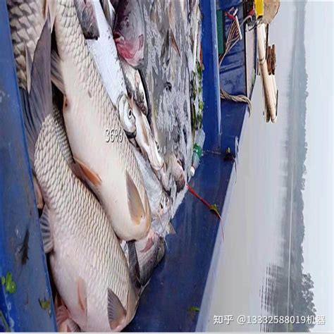 福州连江：牡蛎捕捞上市 新品产量高-中国福建三农网
