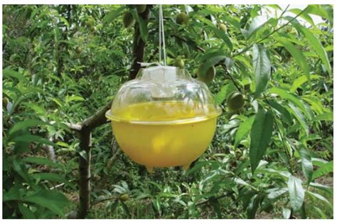 Development of an Optoelectronic Sensor for Detecting and Classifying ...