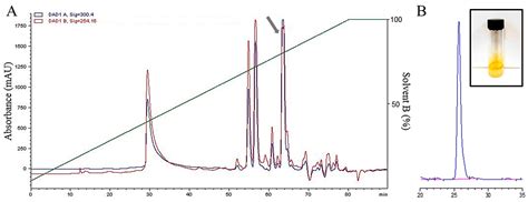 Antifungal Activity of Menisporopsin A against Relevant Plant Pathogens