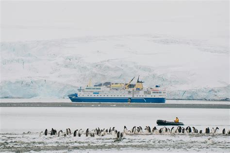 Guide to Senior-Friendly Antarctica Cruise Options for - loopofnow.com