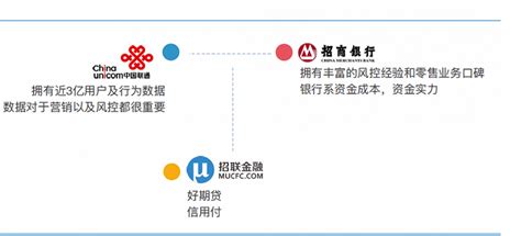 迷失在“低息”和“享乐”诱惑的消费贷：19家平台测评|界面新闻