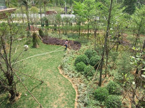 园林绿化养护,园林绿化--深圳市中艺源园林绿化工程有限公司