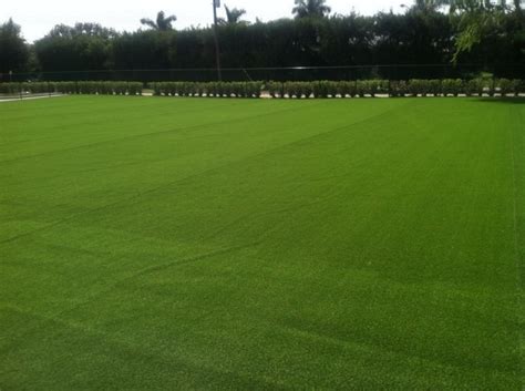 Sportsfield 的图像结果