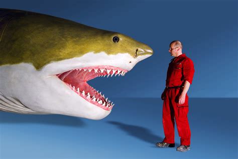 Megalodon Shark Still Exist SCIENCE: Megalodon Körperfor Ist